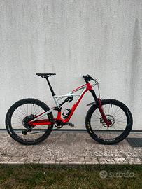 Mtb specialized enduro