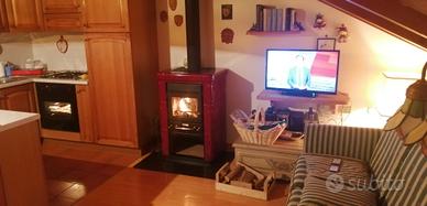 Stupenda stufa a legna 9kw