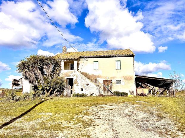 Azienda Agricola - Castorano