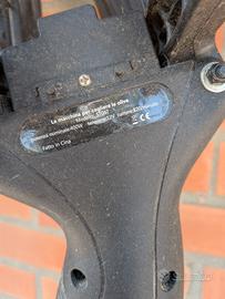 Abbacchiatore Telescopico a Batteria