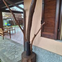 albero tiragraffi o lampada 