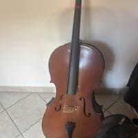 violoncello