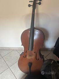 violoncello