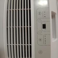 Condizionatore Portatile Pinguino De Longhi