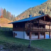 Appartamento nel Bosco