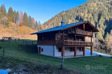 Appartamento nel Bosco