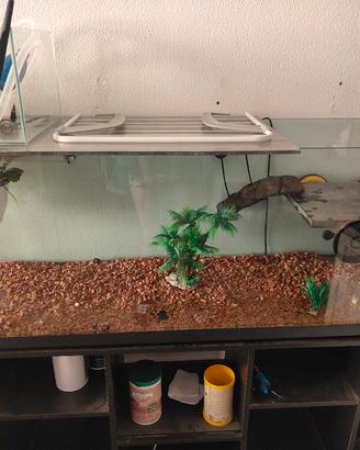 Acquario 150×40×52 cm completo