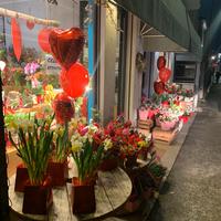 Negozio mogliano veneto