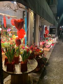 Negozio mogliano veneto