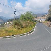 Uliveto di ottomila metri