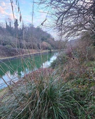 Terreno di 12000 m² a Genazzano