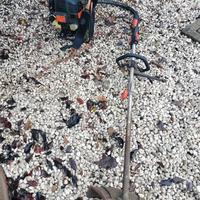 Decespugliatore a spalla