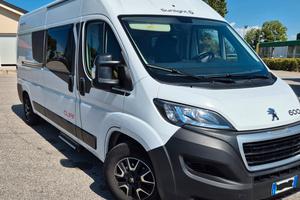 VAN FURGONATO SUNLIGHT CLIFF  600 IN GARANZIA