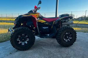 Can am renegade