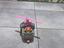 Immagine 1