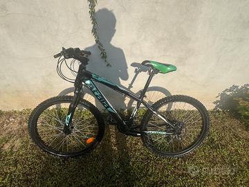 Bicicletta
