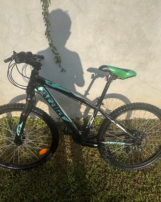 Bicicletta