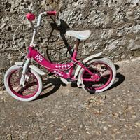 bicicletta