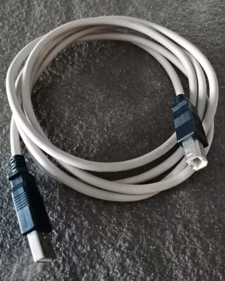 Cavo USB Stampante Originale Epson (da USB-A a USB