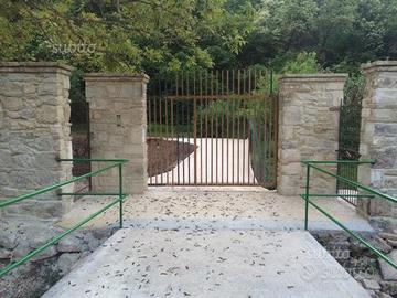 Vivaio iper Itticoltura IL Giardino