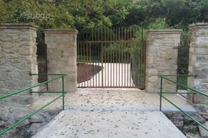 Vivaio iper Itticoltura IL Giardino