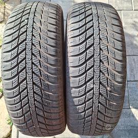 Gomme quattro stagioni