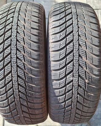 Gomme quattro stagioni