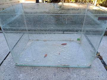 Acquario 