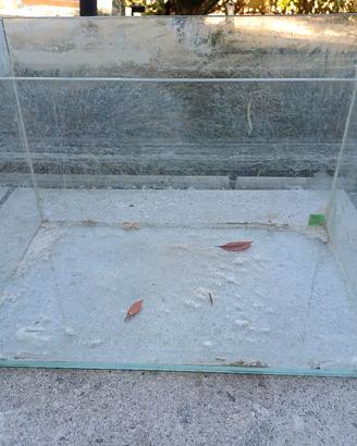 Acquario 