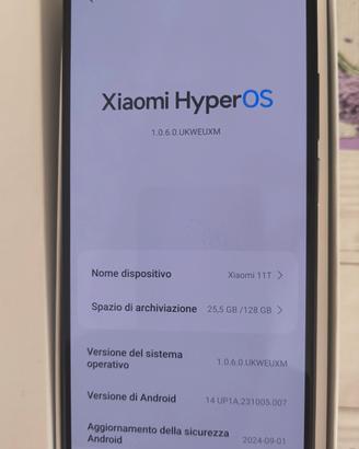 Xiaomi 11T 