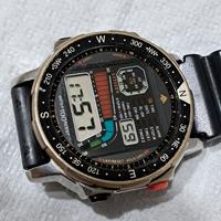 Citizen d060 windsurfing