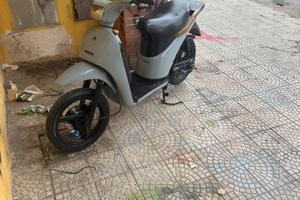 Piaggio free