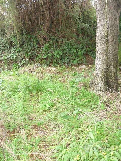 Rustico / Casale di 60 m² con 2 locali a Capannori - Vista 2