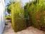 Immagine 28