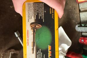 rapporti per blocco piaggio