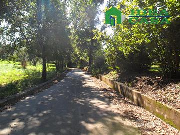 4500mq Terreno pianeggiante