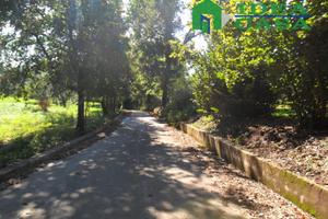 4500mq Terreno pianeggiante