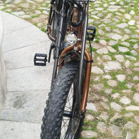 Bici elettrica artigianale