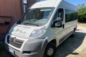 Furgone pulmino 9 posti citroen Jumper