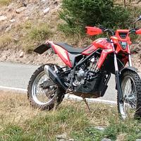 beta ALP 4.0 allestimento off