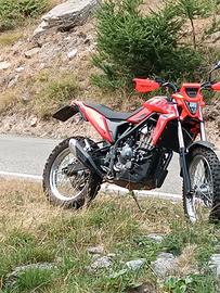 beta ALP 4.0 allestimento off