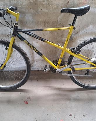 MTB Bianchi ragno