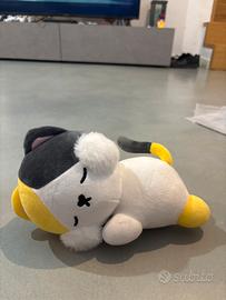Peluche gattino