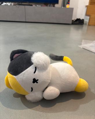 Peluche gattino