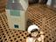 Immagine 1