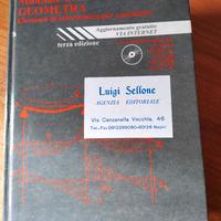 Manuale Cremonese del Geometra 