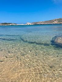 Sardegna last minute Agosto Santa Teresa Gallura