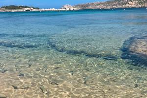 Sardegna last minute Agosto Santa Teresa Gallura