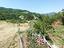 Immagine 29