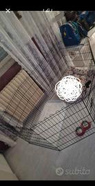 recinto per cani tenuto bene usato poco